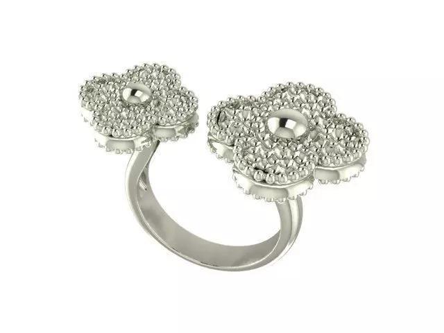 Ring Fashion