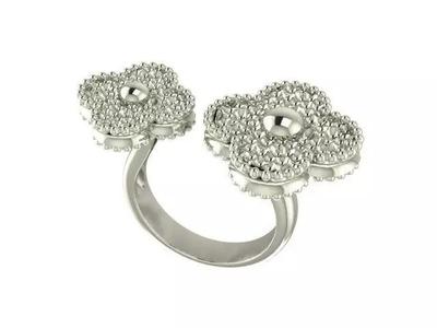 Ring Fashion
