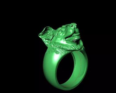 Border Collie ring