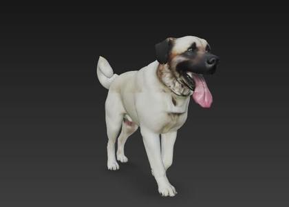 Anatolian Shepherd - Realistic 3D collectible figurine