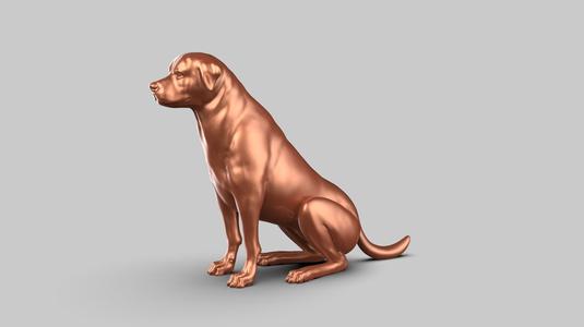 Rottweiler Pose 03