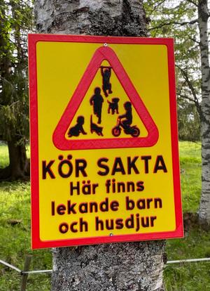 Kör sakta Här finns lekande barn och husdjur