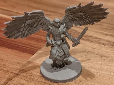 DnD Owlfolk Rogue