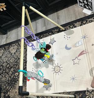 Baby Gym