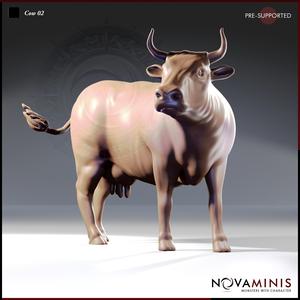 Cow 02