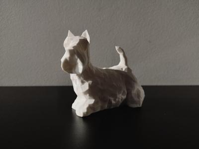 Scottish Terrier