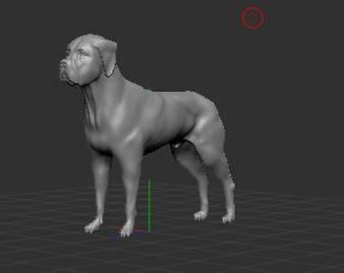 Boxer