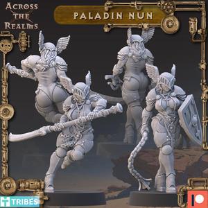 Paladin Nun