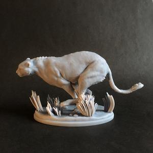 Cheetah running