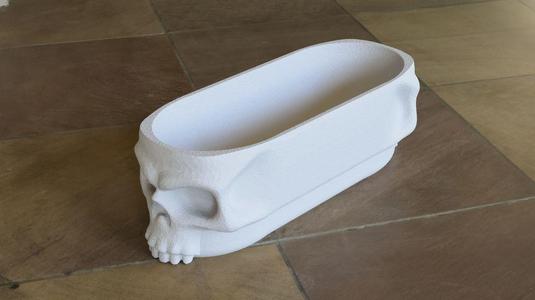 Skull Storage Tray with Lid