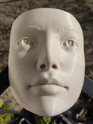 Wall Head Vase HQ