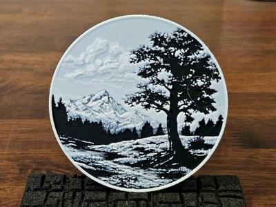 Landscape Coaster