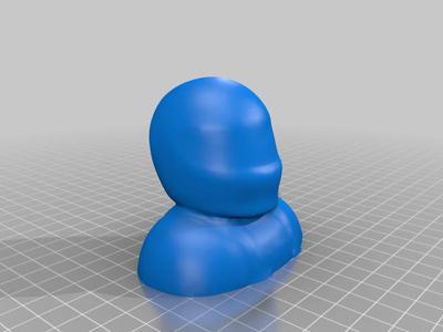 RC Pilot Bust