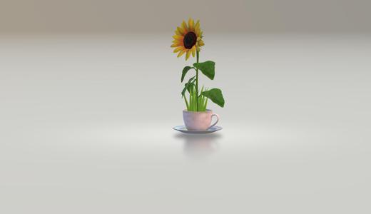 tea PLANT POT