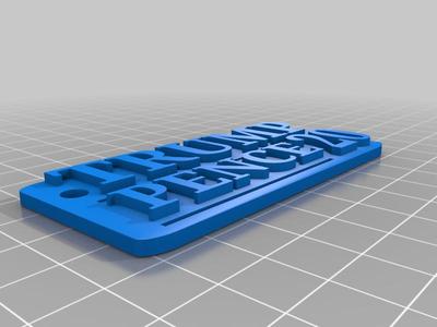 Trump Pence 20 Keychain