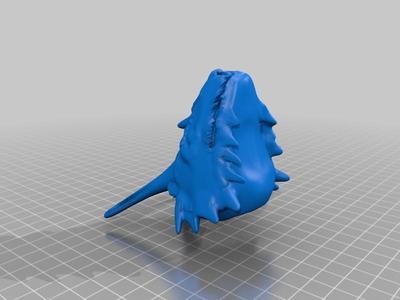 Dragon head