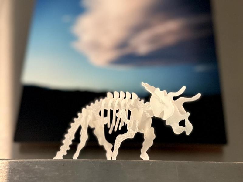 Triceratops Skeleton Kit Card