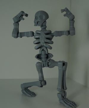 Toy skeleton