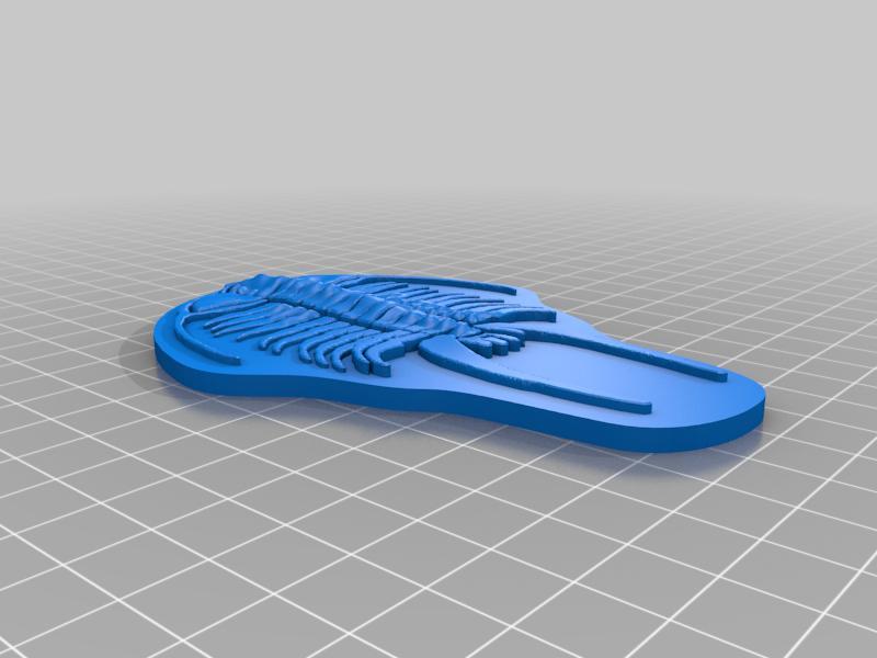 Geology Plate 3 - Print and Study Material