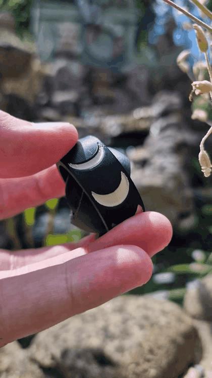 3Dom Fidget - Moon Phases