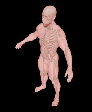 skeleton