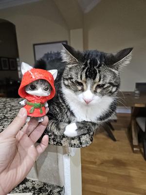 Loki 1 (Samurai Cat Series)
