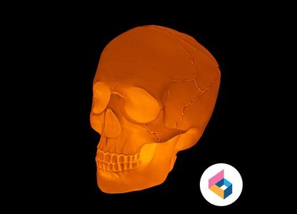 Skull lighting