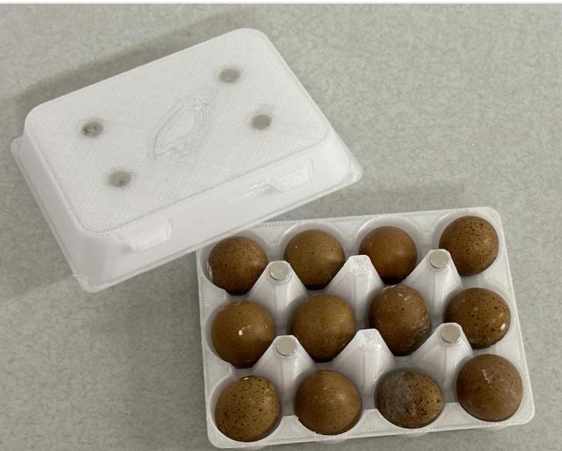 Button Quail Egg Carton | 18 eggs