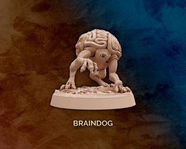 Braindog