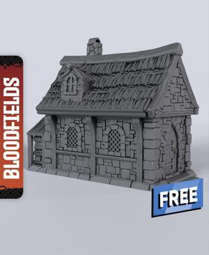 Free Small Building C - With Free Dragon  - 5e DnD Inspired for RPG and Wargamers