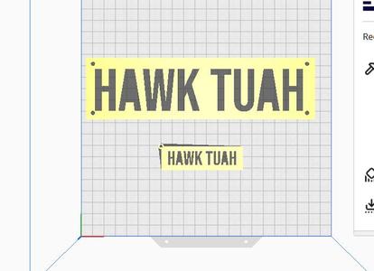 hawk tuah
