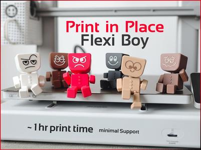 Articulated Flexi Boy - Print in Place