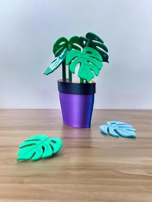Monstera Coasters Plant and Pot