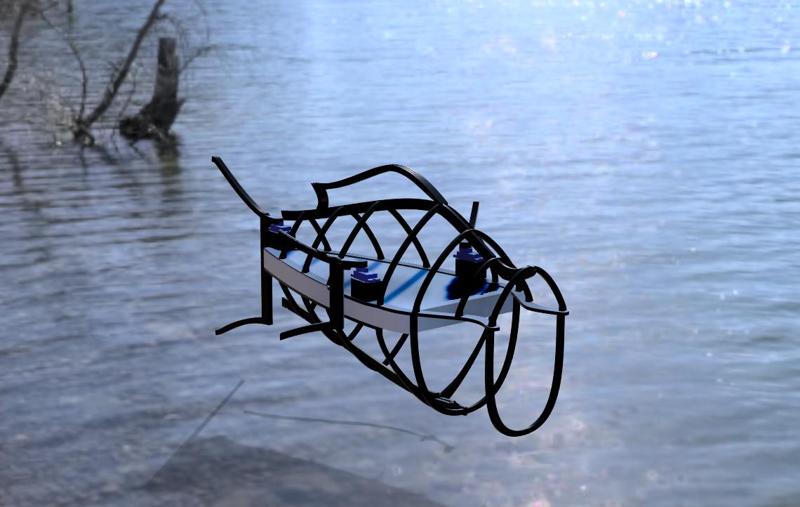 Fish Robot