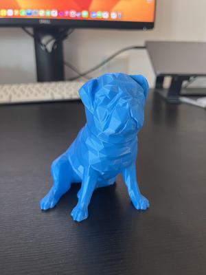Buddy 2.0 Low Poly