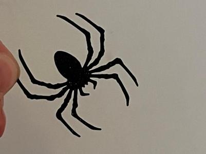 Little spider 5cm