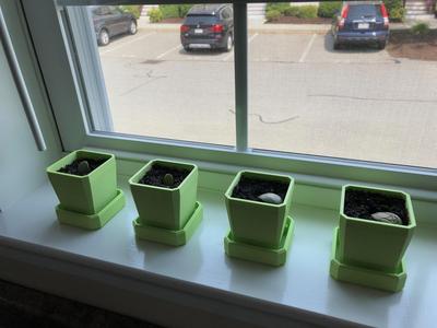 Succulent Pot/Planter