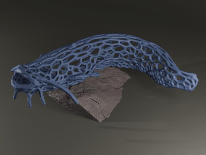 Catfish Voronoi