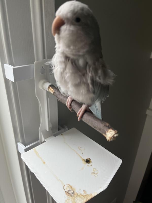 Bird Perch With Poop Tray