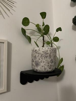 Siliy Plant Shelf pt.2 – Command Strips