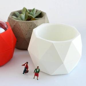 Bucky Bowl