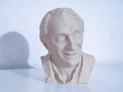 Marco Pannella bust