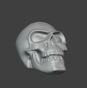 Skull