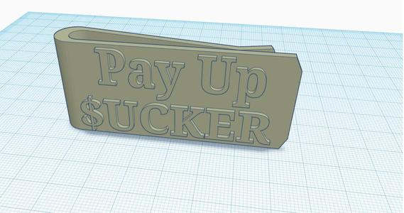 Pay Up Sucker Money Clip