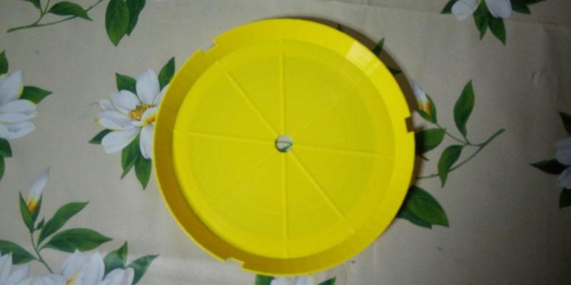 Dish for fluorescent lamp