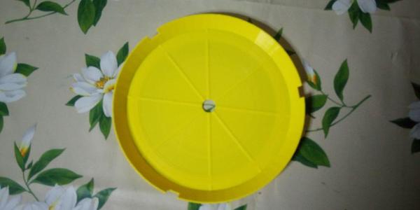 Dish for fluorescent lamp