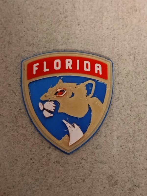 FLORIDA Panthers - LOGO