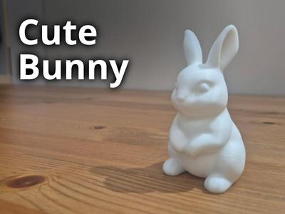 Cute Bunny