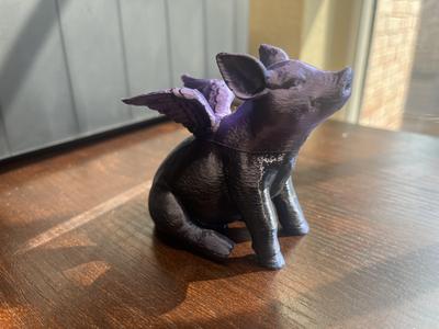 When Pigs Fly
