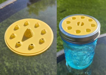 Hanging Wide-Mouth Mason Jar Fly Trap